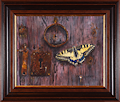 Pekka Leppälä: Papilio machaon