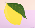 Anne Salminen: Citrus limon, lemonalisa