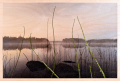 Salla Vaha: Vuodenaikoja